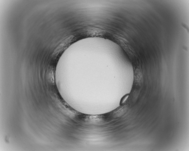 X0000099380622200805291129