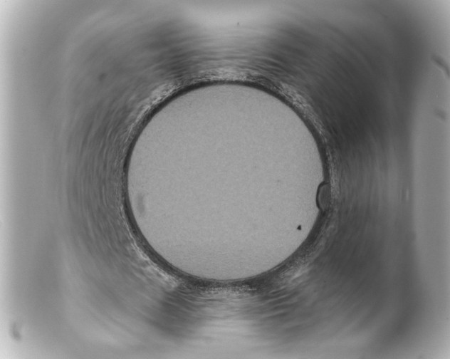 X0000099380625200805291129