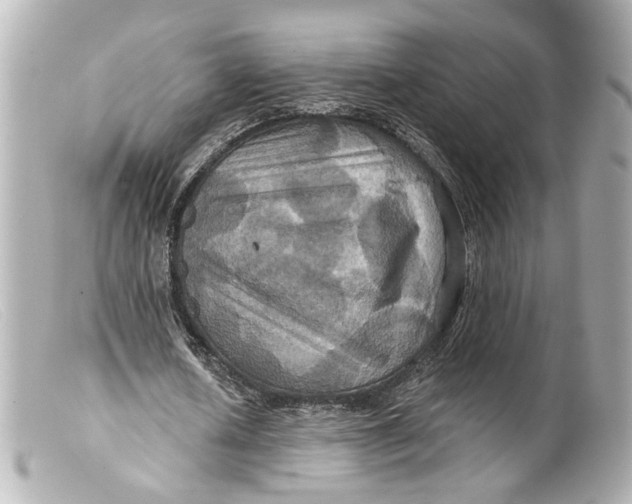 X0000099380626200805291129