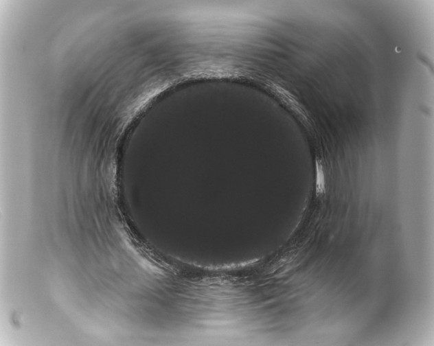 X0000099380627200805291129