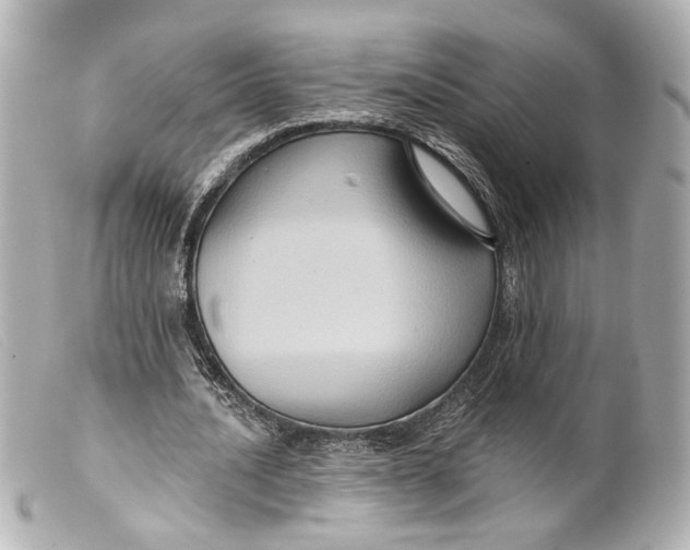 X0000099380628200805291129