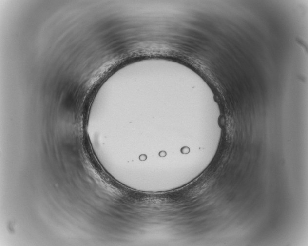 X0000099380629200805291129