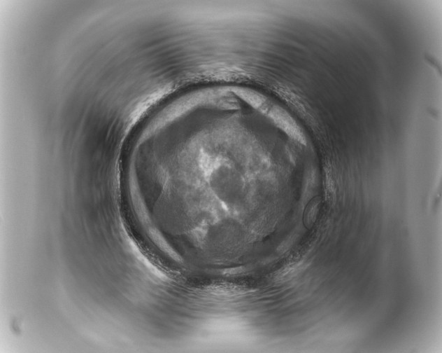 X0000099380630200805291129