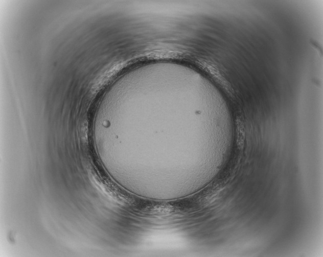 X0000099380631200805291129