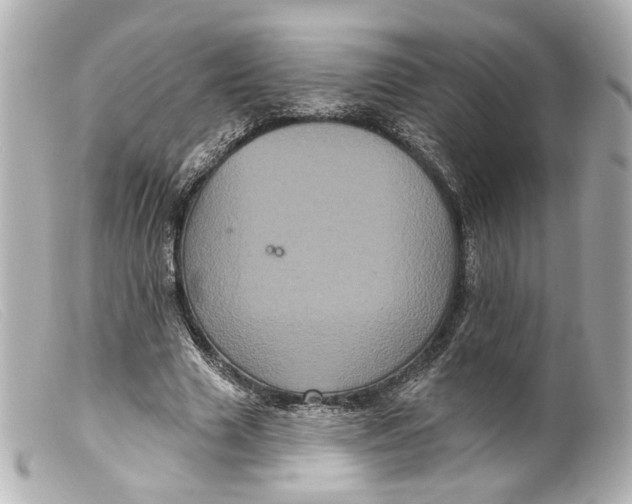 X0000099380633200805291129