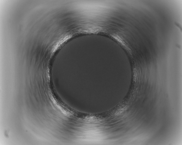 X0000099380634200805291129