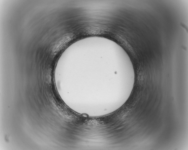 X0000099380635200805291129