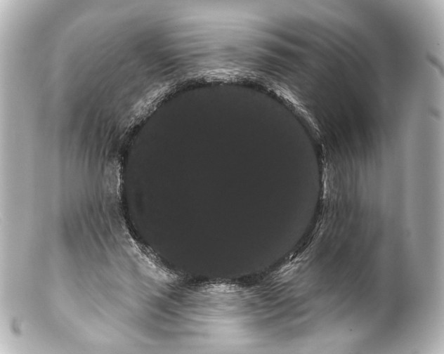 X0000099380637200805291129