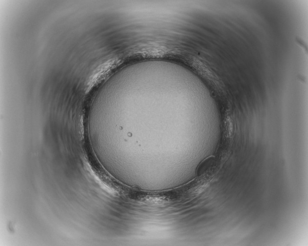 X0000099380638200805291129