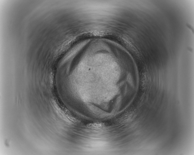 X0000099380639200805291129