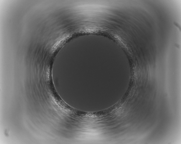 X0000099380640200805291129