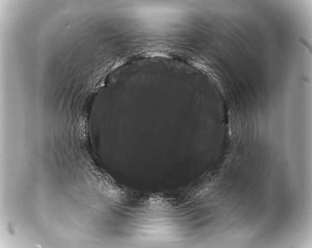 X0000099380641200805291129