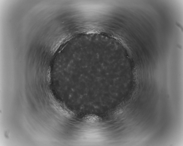 X0000099380642200805291129