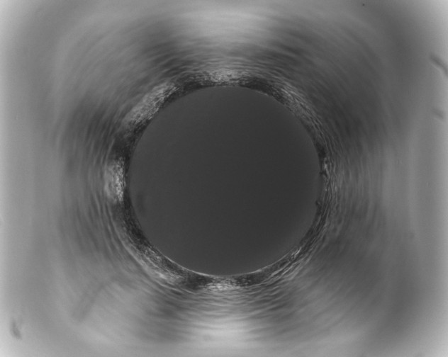 X0000099380644200805291129