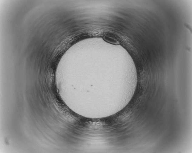 X0000099380645200805291129