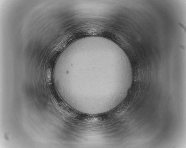 X0000099380646200805291129