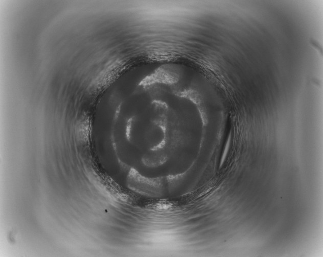 X0000099380647200805291129