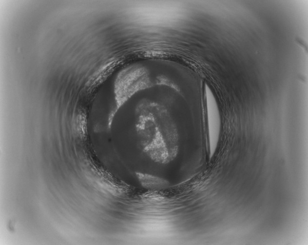 X0000099380648200805291129