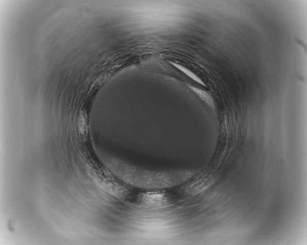 X0000099380651200805291129