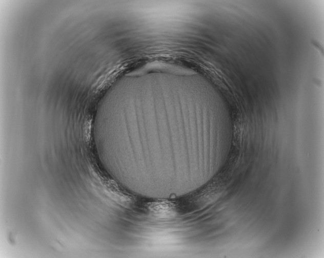 X0000099380652200805291129