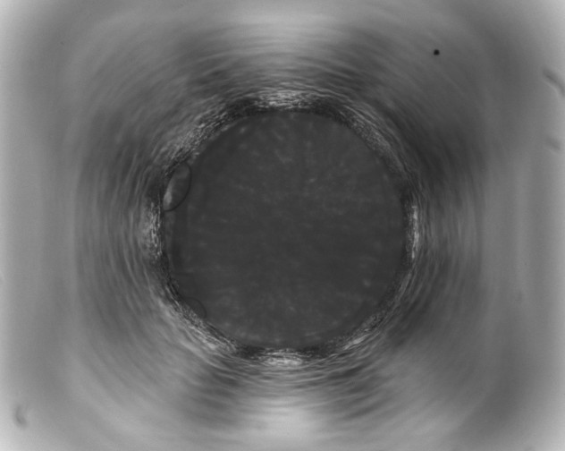 X0000099380653200805291129