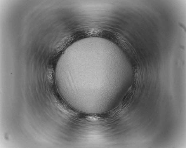 X0000099380654200805291129