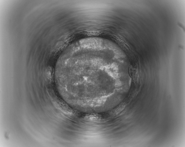 X0000099380655200805291129