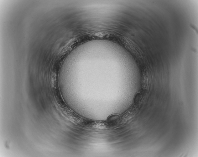 X0000099380656200805291129