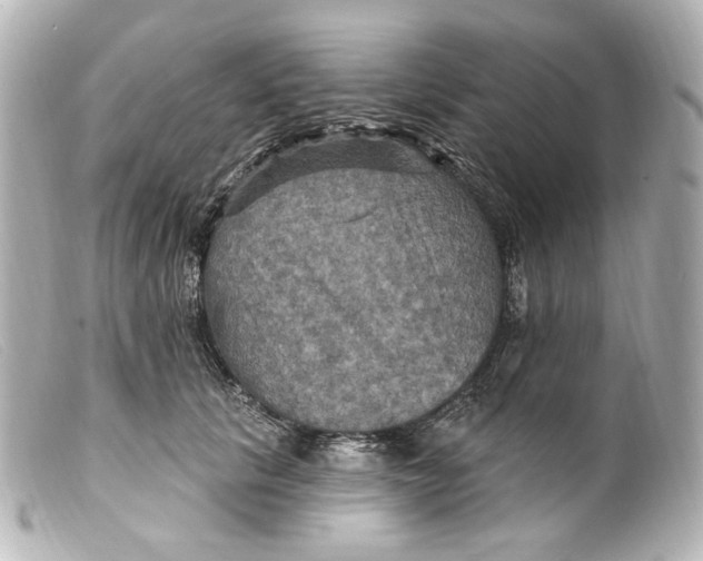 X0000099380657200805291129