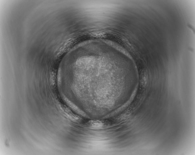 X0000099380658200805291129