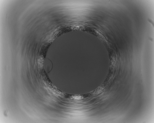 X0000099380659200805291129