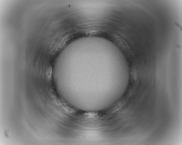 X0000099380660200805291129