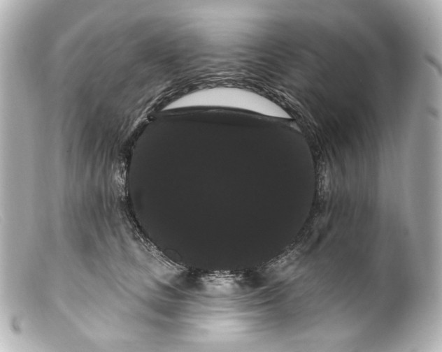 X0000099380661200805291129