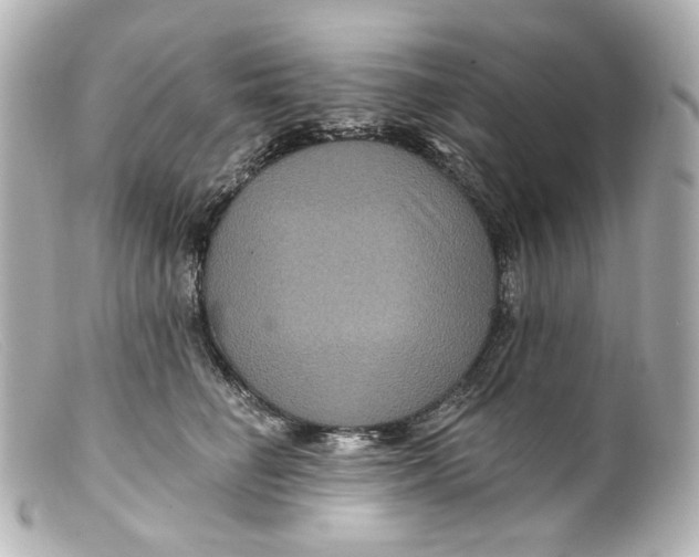 X0000099380662200805291129