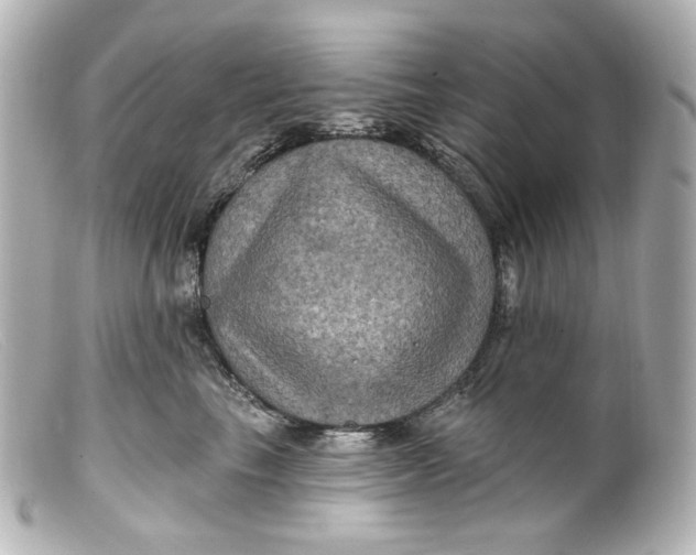 X0000099380665200805291129