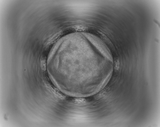 X0000099380666200805291129