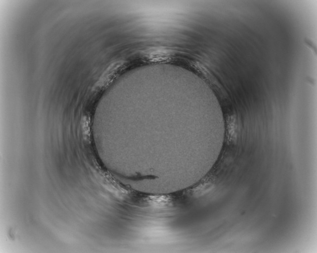 X0000099380667200805291129