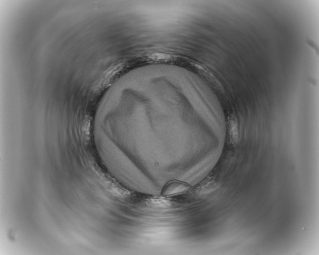 X0000099380668200805291129