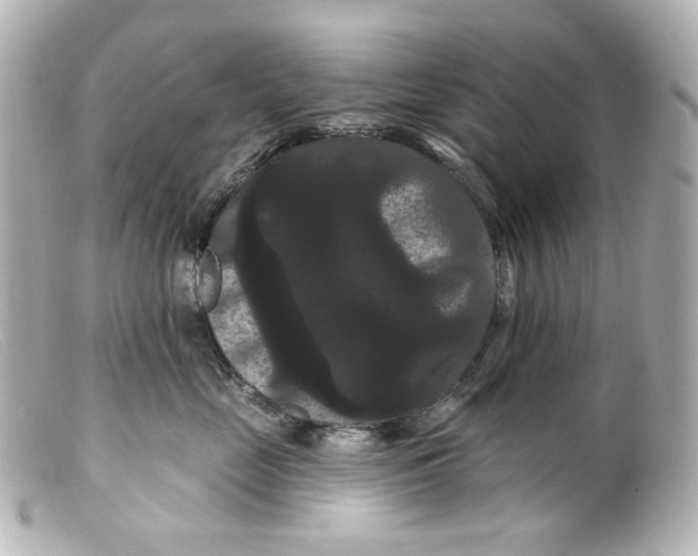 X0000099380669200805291129