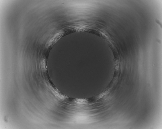 X0000099380670200805291129