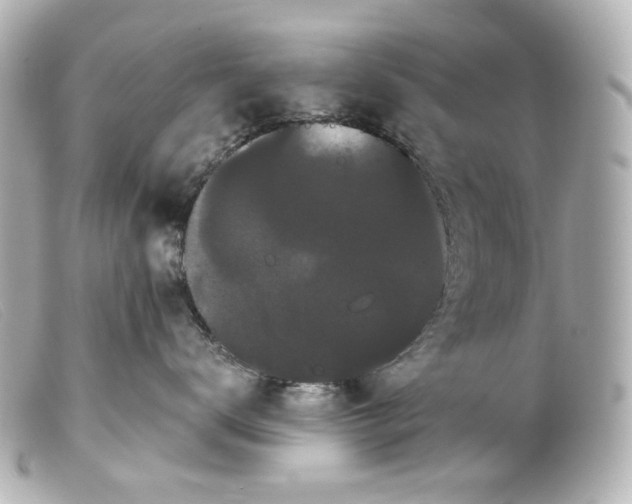 X0000099380672200805291129