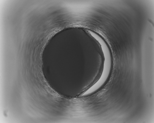 X0000099380673200805291129