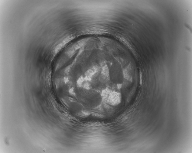 X0000099380675200805291129