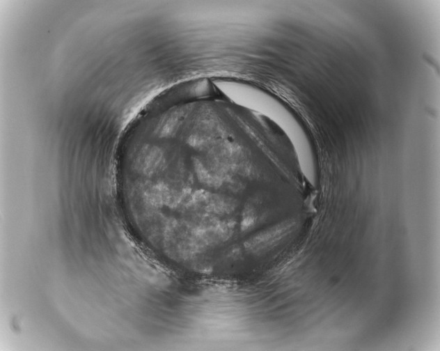 X0000099380676200805291129