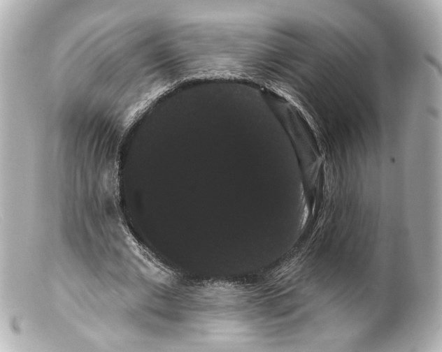 X0000099380677200805291129