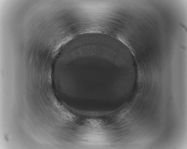 X0000099380681200805291129