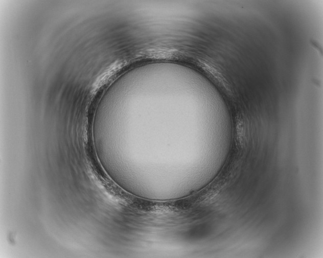 X0000099380682200805291129