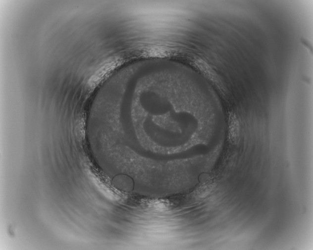 X0000099380683200805291129