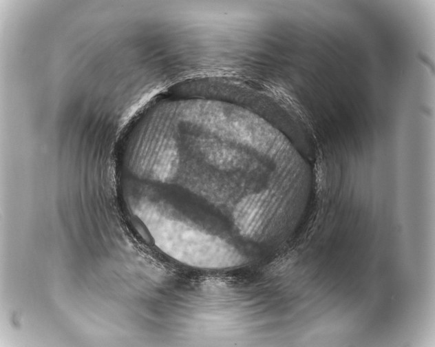 X0000099380684200805291129