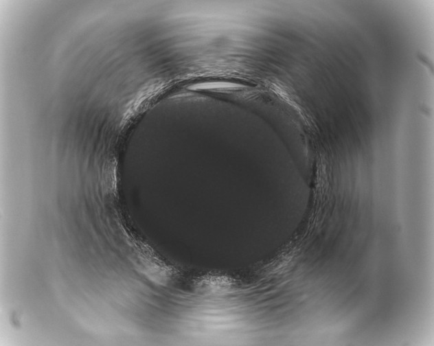 X0000099380685200805291129